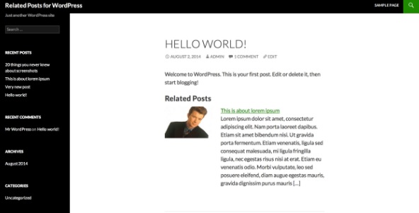 Related Posts For Wordpress 1